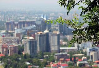 BRT в Алматы: улучшит мобильность горожан и благоприятно скажется на экологии города