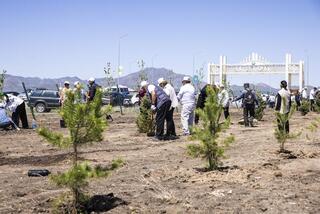 «Таза Қазақстан»: в Алматинской области высажено 5100 саженцев деревьев