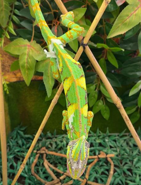 В столичной школе «Келешек мектебi» открылся кабинет «Живой природы»