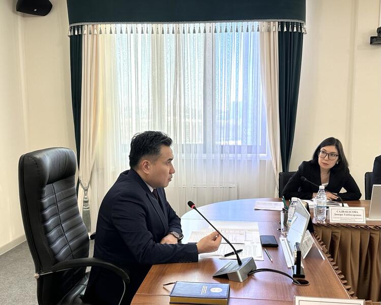 В Минтруда обсудили реализацию Концепции инклюзивной политики с экспертами проекта Сената «Талдау мектебі – Школа аналитики»