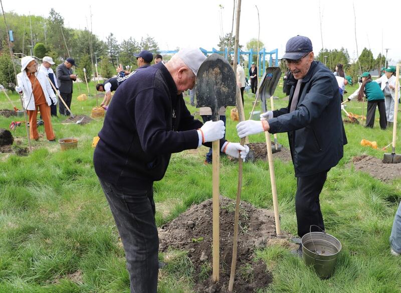 Итоги года в Жетісу: в рамках программы «Таза Қазақстан» создано 11 новых парков и 5 скверов