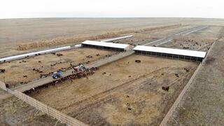 В Аксуатском районе ведется строительство нескольких объектов предпринимательства