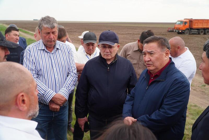 В Атбасарском районе засеяно более 40% сельхозугодий