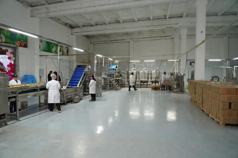 Завод по глубокой переработке фруктов и ягод запустили в Туркестанской области