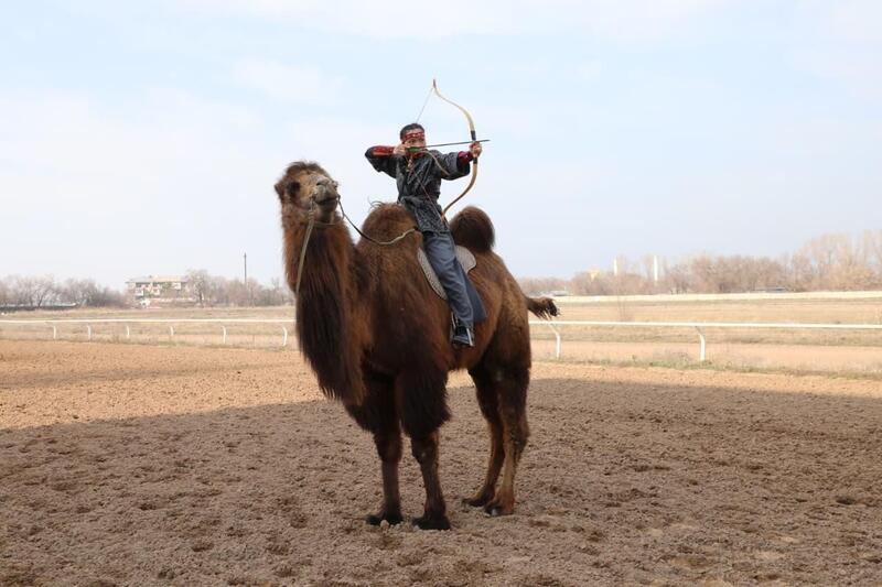 4 мишени за 10 секунд с верблюда: на ипподроме Алматы установлен мировой рекорд