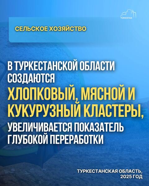 В ТУРКЕСТАНСКОЙ ОБЛАСТИ СОЗДАЮТСЯ ХЛОПКОВЫЙ, МЯСНОЙ И КУКУРУЗНЫЙ КЛАСТЕРЫ, УВЕЛИЧИВАЕТСЯ ПОКАЗАТЕЛЬ ГЛУБОКОЙ ПЕРЕРАБОТКИ