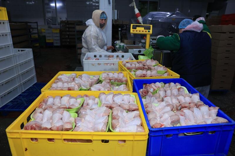 Кумар Аксакалов: «Наша задача — создать на селе все условия для жизни, работы и развития»