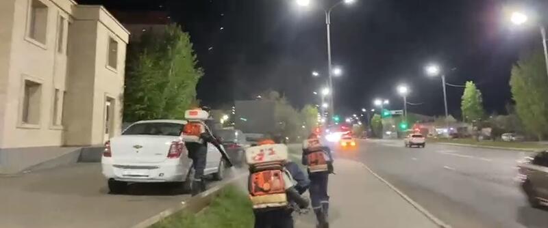 Как в столице ведут работы по борьбе с комарами, мошками и грызунами