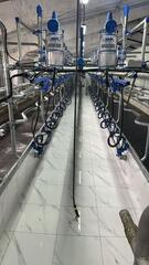 В селе Ташкентке запустят современную молочно-товарную ферму на 400 голов КРС