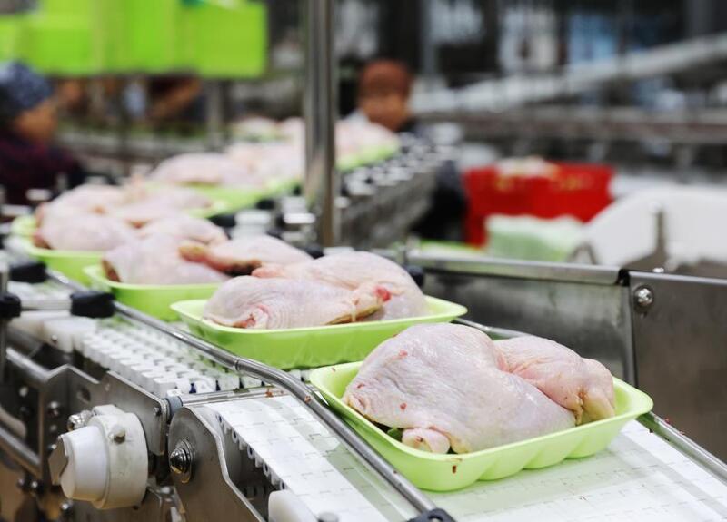 Завод по переработке мяса птицы мощностью 70 тыс. тонн в год запустили в Жамбылской области