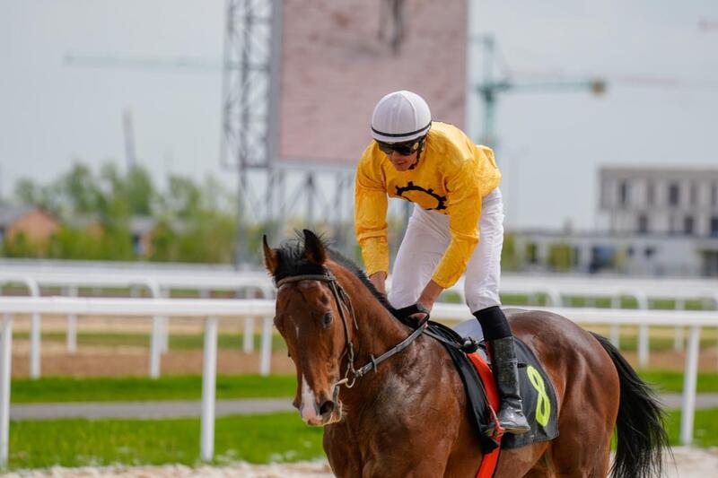 В Астане проходит республиканский турнир по байге