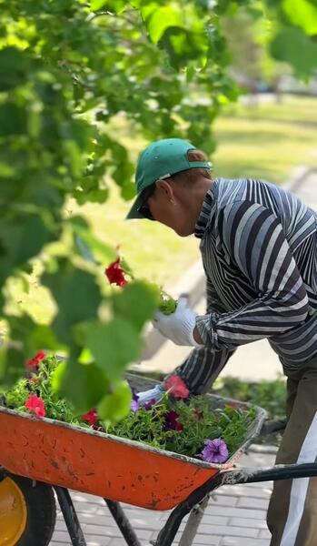 Озеленение Караганды: свыше полутора миллионов цветов украсят город этим летом