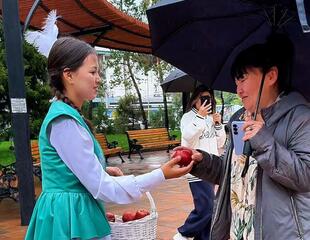 Алматы встречает жителей и гостей яблоками