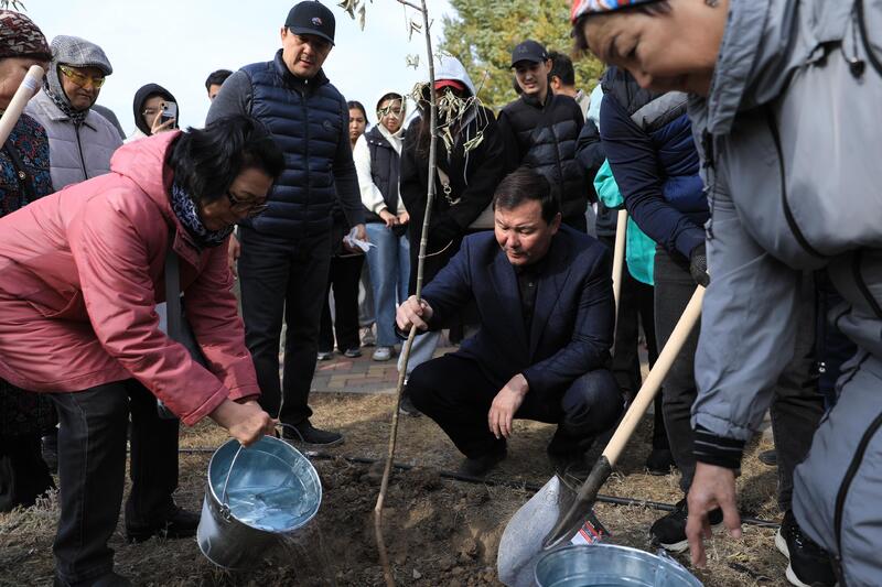 В рамках акции «Таза Казахстан» в Актюбинской области было высажено около 7300 саженцев