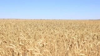 Карагандинская область: итоги года в сфере сельского хозяйства