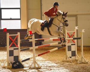 В Астане проходит чемпионат Казахстана по конкуру