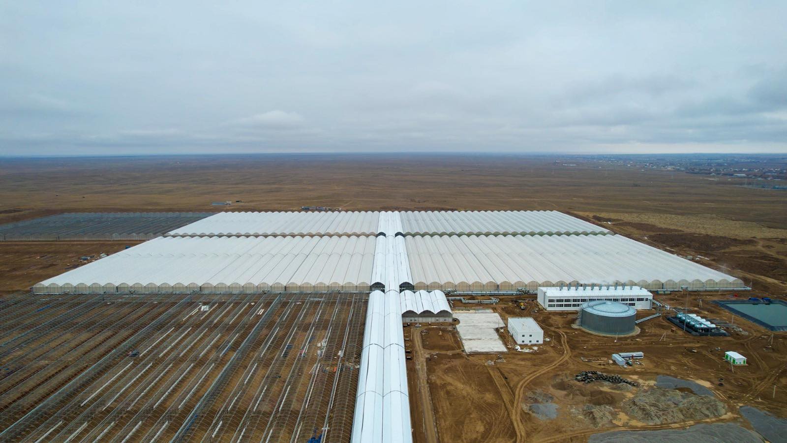 В ТУРКЕСТАНСКОЙ ОБЛАСТИ ЗАПУСТЯТ КРУПНЕЙШИЙ В СТРАНЕ ПРОМЫШЛЕННЫЙ ТЕПЛИЧНЫЙ КОМПЛЕКС