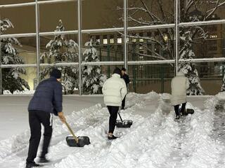 Чистый город, активная молодежь: системные экоинициативы Алматы