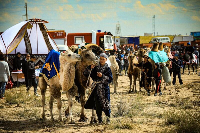 Поголовье скота в Актюбинской области выросло на 7% благодаря господдержке