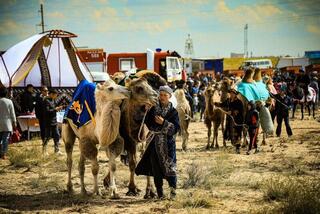 Поголовье скота в Актюбинской области выросло на 7% благодаря господдержке