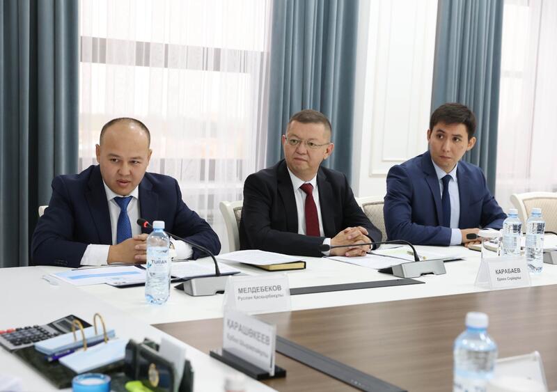 Ербол Карашукеев принял председателя ревизионной комиссии