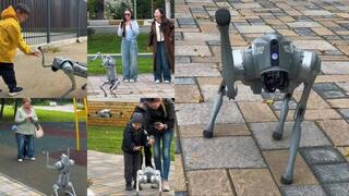 Роботы-собаки заступили на службу в общественных местах Семея