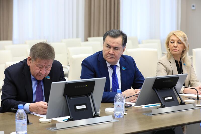 Аким региона обсудил с сенаторами развитие экономики и бюджетный потенциал