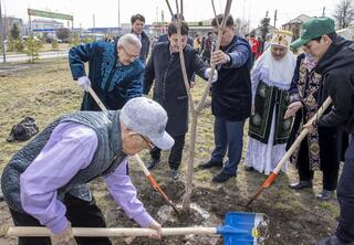 В День обновления в области Жетысу высадили порядка 2500 молодых деревьев