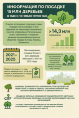 Информация по посадке 15 млн деревьев в населенных пунктах