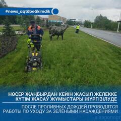 После дождей в Актобе заметно преобразилась зелёная зона города.