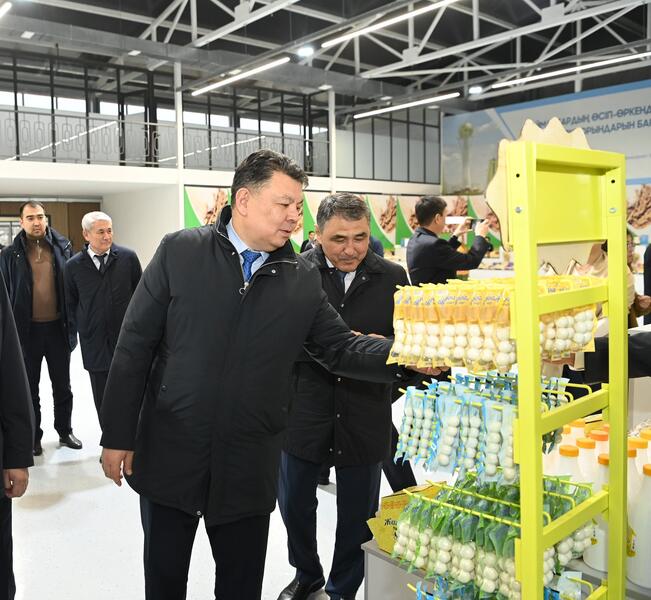 Заместитель Премьер-министра ознакомился с работой малой промышленной зоны «Тумар»