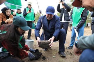 В Актюбинской области в рамках проекта «Школьное лесничество» высажено 1350 деревьев