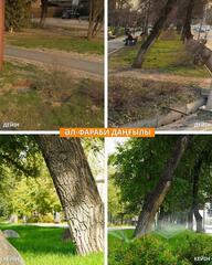 В Медеуском районе Алматы озеленяют 14 километров улиц