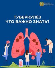 Что важно знать о туберкулезе?