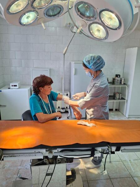 В этом году в область Абай переехали около 500 человек