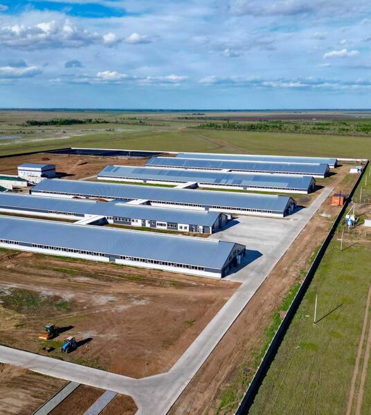 Новый маслозавод запустили в Павлодарском районе
