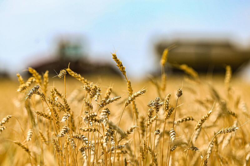 В Каргалинском районе внедряют современные технологии в сельском хозяйстве