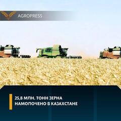 25,8 млн тонн зерна намолочено в Казахстане