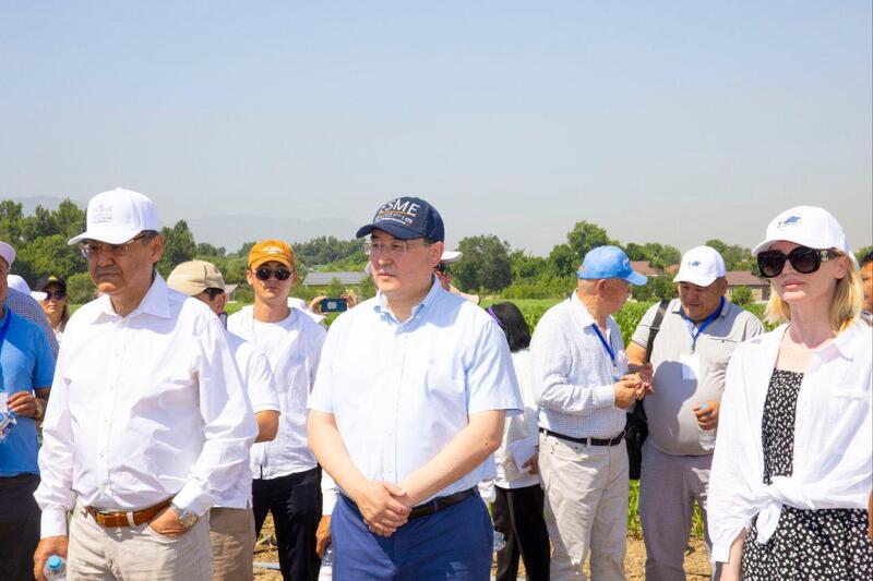 На Дне поля в Алматинской области обсудили развитие карбонового и органического земледелия