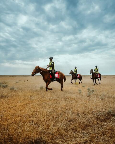 «Ұлы дала жорығы-2025»: победу одержали лошади костанайской породы из Астаны