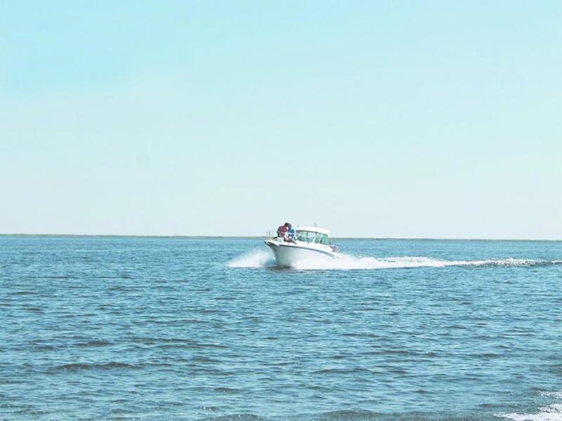 В области Жетісу земельные участки, расположенные на побережье Балхаша, выставлены на открытый аукцион для инвесторов