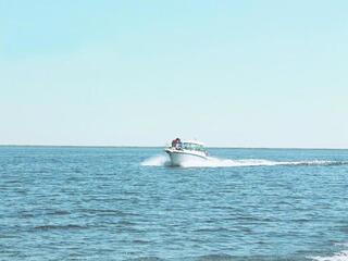 В области Жетісу земельные участки, расположенные на побережье Балхаша, выставлены на открытый аукцион для инвесторов