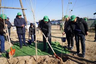 ТУРКЕСТАН: В КАЗЫГУРТСКОМ РАЙОНЕ В РАМКАХ ПРОГРАММЫ «ТАЗА ҚАЗАҚСТАН» ПОСАЖЕНО БОЛЕЕ 5000 ДЕРЕВЬЕВ