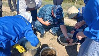 Более 1 млн штук молоди осетровых видов рыб выпустили в реку Жайык