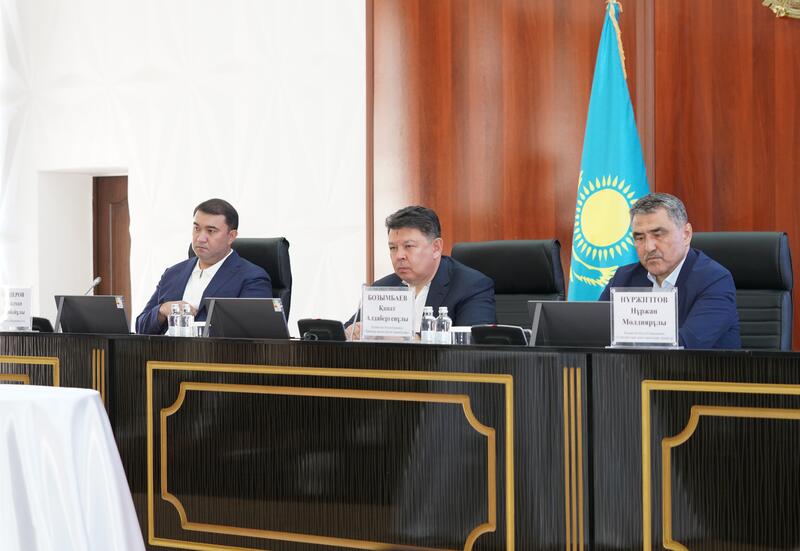 «АУЫЛ АМАНАТЫ»: В ТУРКЕСТАНСКОЙ ОБЛАСТИ ПРОФИНАНСИРОВАНО 4 223 ПРОЕКТА НА 3,2 МЛРД ТЕНГЕ