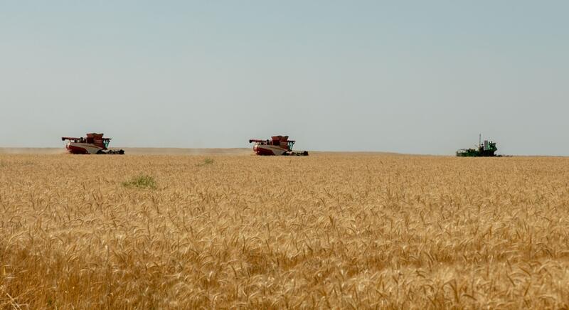 Ербол Қарашөкеев Тұрар Рысқұлов ауданындағы әлеуметтік және инфрақұрылымдық жобалардың жүзеге асу барысын тексерді