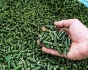 Завод по производству гранулированного корма из люцерны запустят в СКО