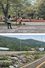 В Медеуском районе Алматы в 2026 году благоустроят свыше 30 общественных пространств