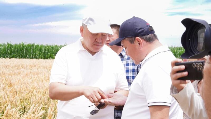 В области Жетісу обсудили современные технологии повышения продуктивности зерновых культур