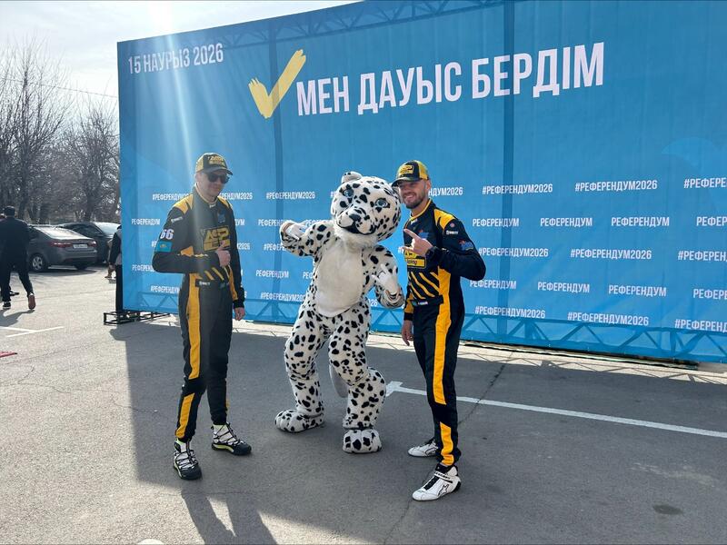 Снежный барс на референдуме